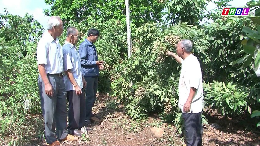Huyện Chư Sê triển khai 02 dự án liên kết sản xuất thực hiện Chương trình mục tiêu Quốc gia xây dựng nông thôn mới