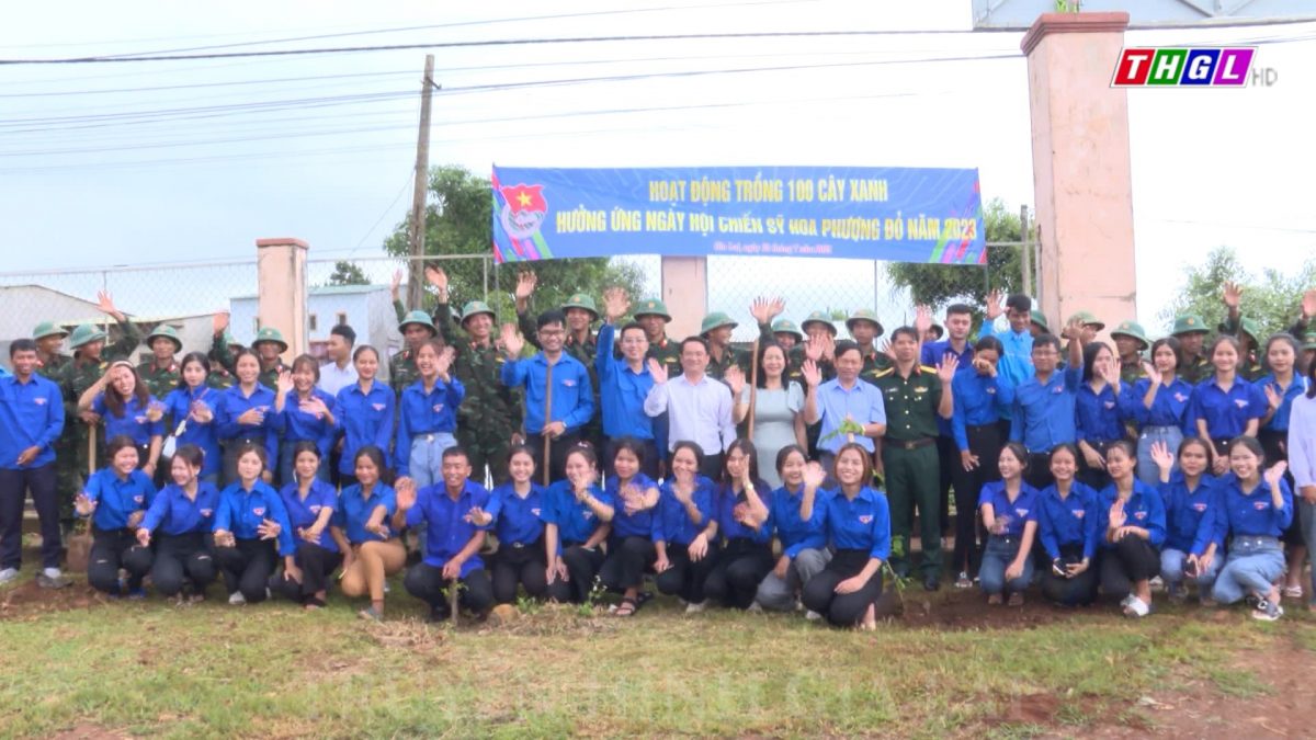 Tỉnh đoàn Gia Lai tổ chức Ngày hội chiến sĩ “Hoa phượng đỏ”