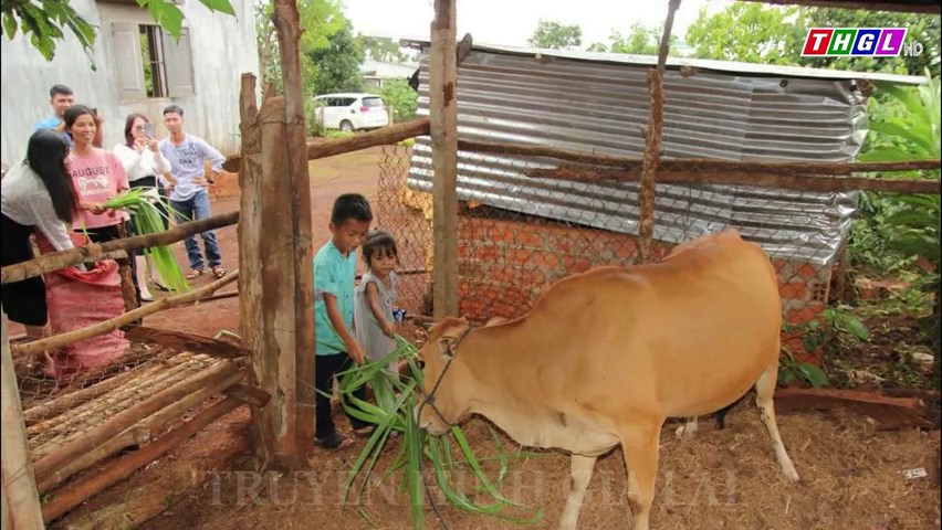 Trao 13 mô hình sinh kế cho thiếu nhi DTTS có hoàn cảnh khó khăn tại huyện Chư Prông