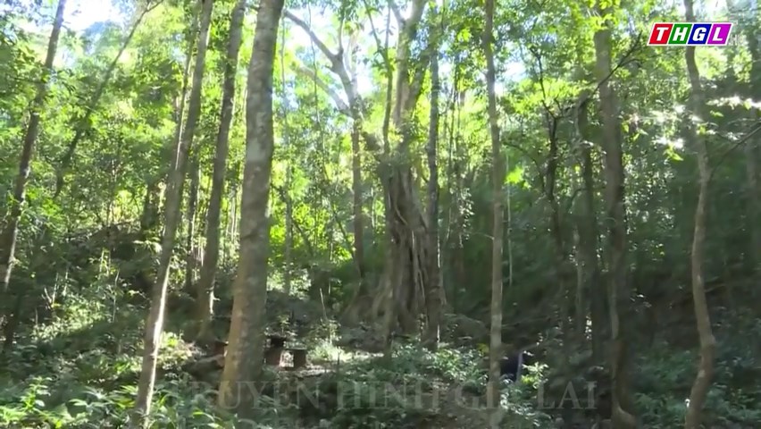 110 tỷ đồng đầu tư Dự án Đầu tư phát triển rừng bền vững Vườn Quốc gia Kon Ka Kinh và Nâng cao năng lực PCCCR cho lực lượng Kiểm lâm, năng lực QLBVR