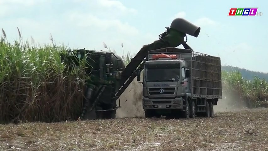 Hỗ trợ các HTX tham gia thí điểm đề án mô hình HTX kiểu mới hiệu quả giai đoạn 2021-2025 trên địa bàn tỉnh Gia Lai