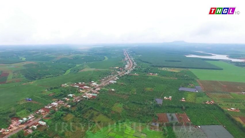 Gia Lai đặt ra mục tiêu đến năm 2025, tỷ lệ sử dụng giống xác nhận, giống mới, giống chất lượng cao các loại cây trồng đạt từ 70-95%