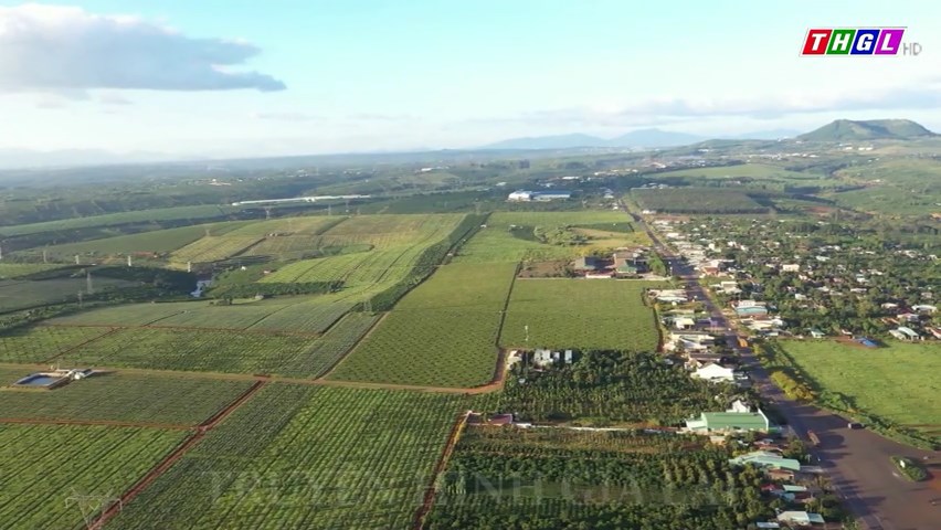 Gia Lai hình thành 18 vùng sản xuất nông nghiệp có tính chất công nghệ cao với tổng diện tích hơn 3.489 ha