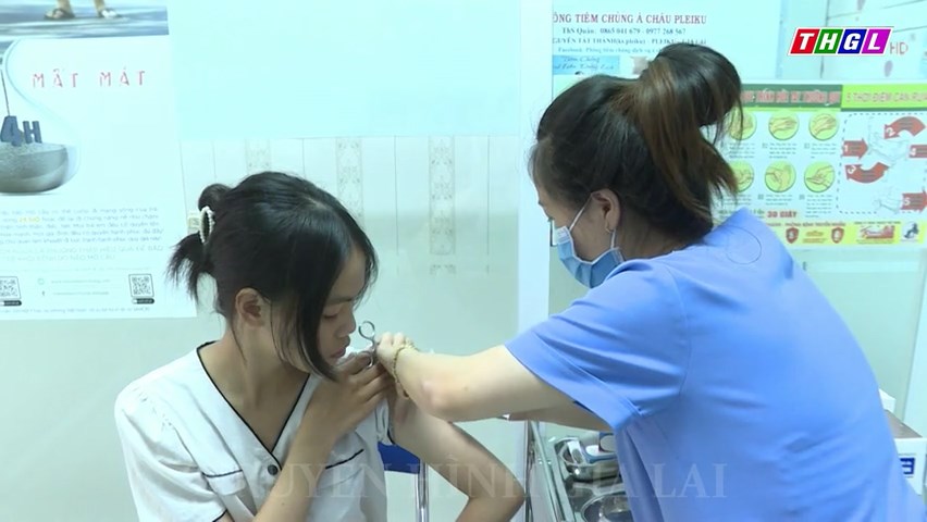 Gia Lai phấn đấu 90% số người bị phơi nhiễm với bệnh dại được điều trị dự phòng