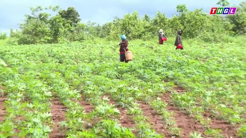 Huyện Mang Yang tập trung triển khai Dự án ổn định dân di cư tự do