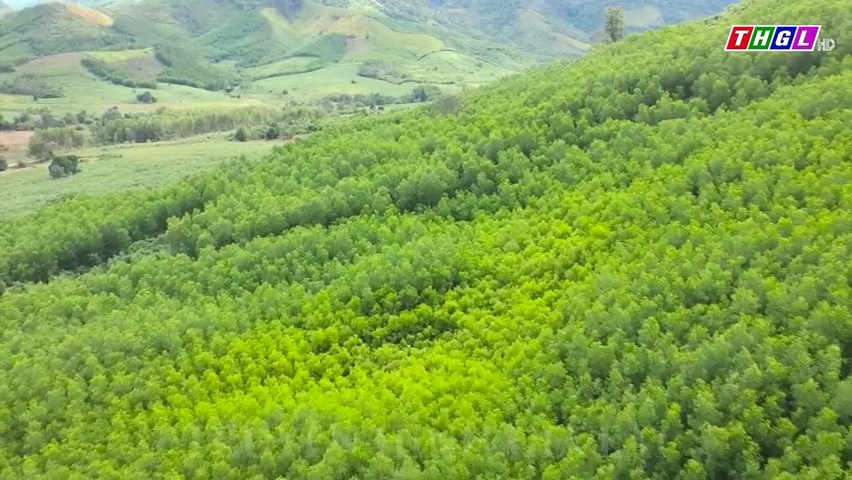 Nâng cao thu nhập cho người dân vùng DTTS và miền núi từ việc giao khoán bảo vệ rừng