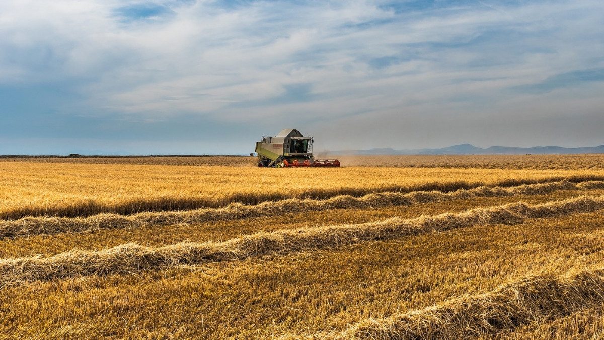 Hungary phản đối EU, đề xuất gia hạn hạn chế nhập khẩu ngũ cốc của Ukraine