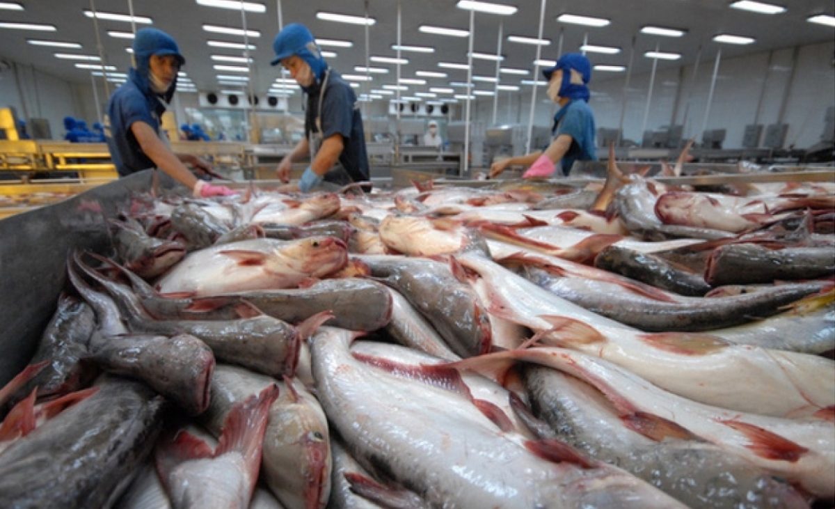 Phó Thủ tướng chỉ đạo xem xét gỡ khó cho doanh nghiệp thủy sản