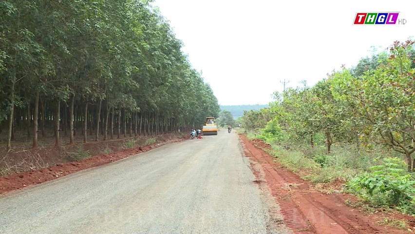 Niềm vui đường mới ở vùng biên giới Đức Cơ