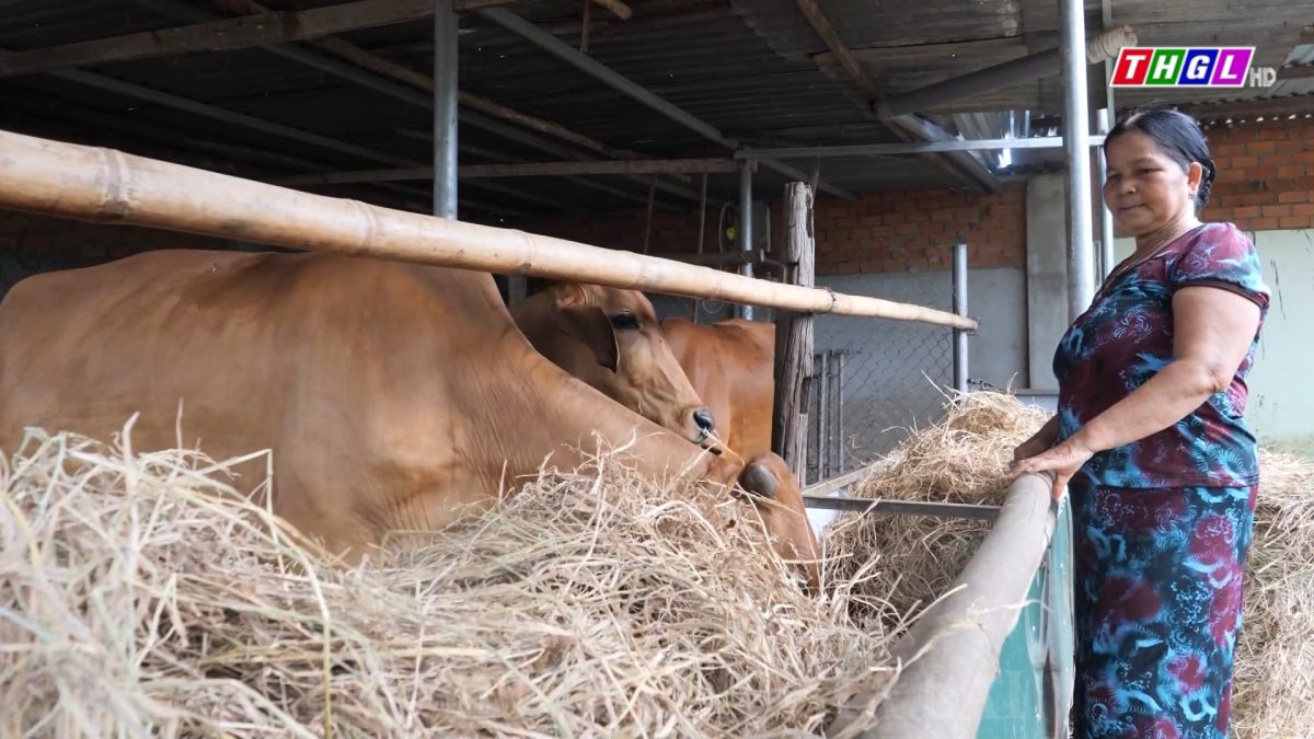 Ninh Thuận phát triển chăn nuôi theo hướng an toàn, tập trung, liên kết chuỗi giá trị