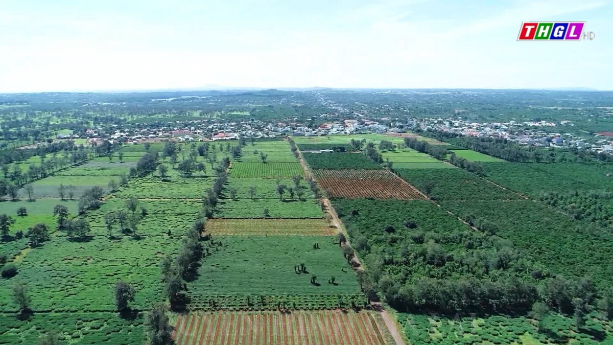 Gia Lai ổn định tăng trưởng kinh tế trong bối cảnh nhiều khó khăn, thử thách