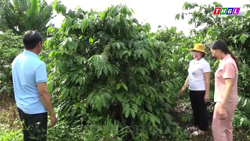 Đắk Wer-Xã nông thôn mới nâng cao đầu tiên của tỉnh Đắk Nông