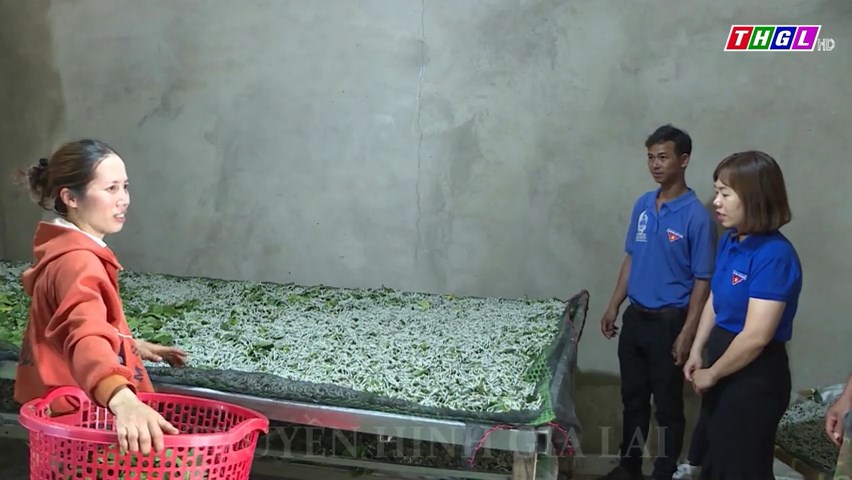 Ia Pếch mở rộng vùng trồng dâu nuôi tằm
