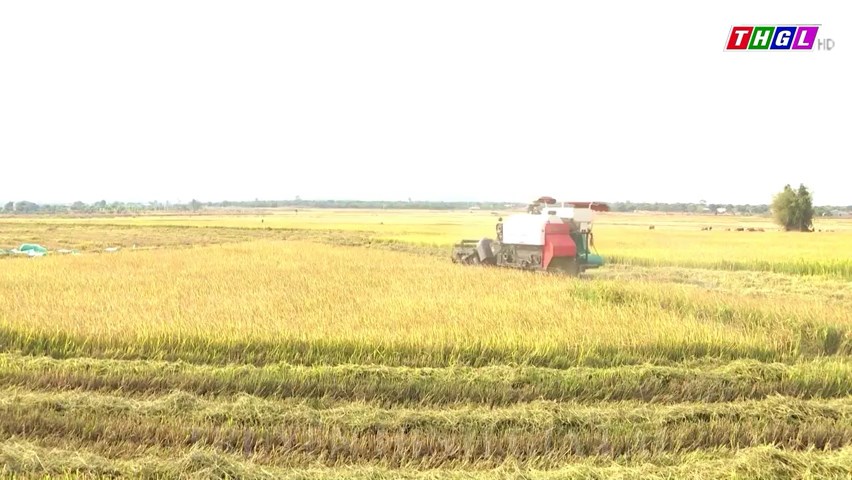 Nỗ lực nâng cao hiệu quả sản xuất lúa ở vùng DTTS