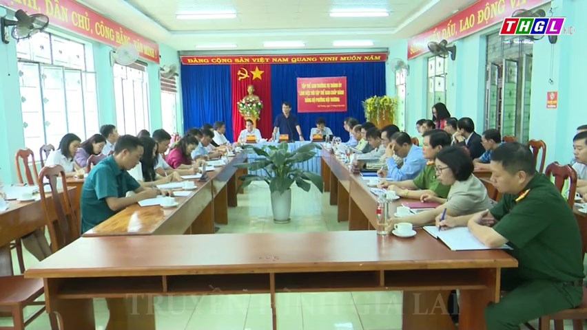 Ban Thường vụ Thành ủy Pleiku làm việc với Đảng bộ phường Hội Thương