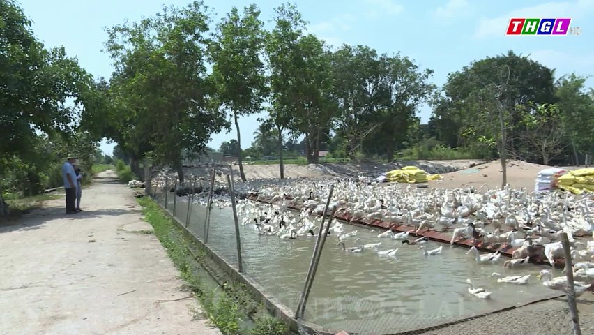 Gia Lai đã có 60 sản phẩm trong lĩnh vực chăn nuôi và thủy sản đạt OCOP