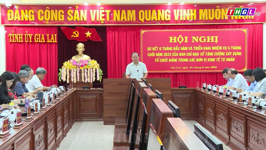 Sơ kết hoạt động của Ban Chỉ đạo về tăng cường xây dựng tổ chức Đảng trong các đơn vị kinh tế  tư nhân