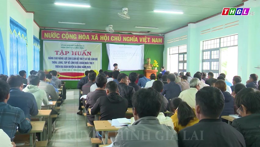 Ia Grai: Tập huấn cho hơn 140 cán bộ thú y cơ sở và cán bộ thôn, làng, tổ dân phố