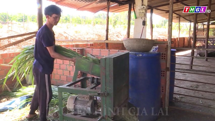 Toàn tỉnh Gia Lai có 66.485 hộ hội viên đạt danh hiệu sản xuất, kinh doanh giỏi các cấp