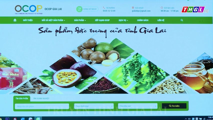 Gia Lai: 100 triệu đồng/năm hỗ trợ các DN, HTX xây dựng website thương mại điện tử
