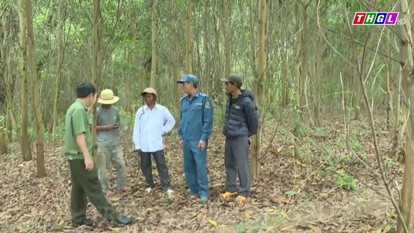 02 tỷ đồng từ vốn dịch vụ môi trường rừng sẽ được hỗ trợ các địa phương trong tỉnh Gia Lai trồng cây phân tán giai đoạn 2021-2025