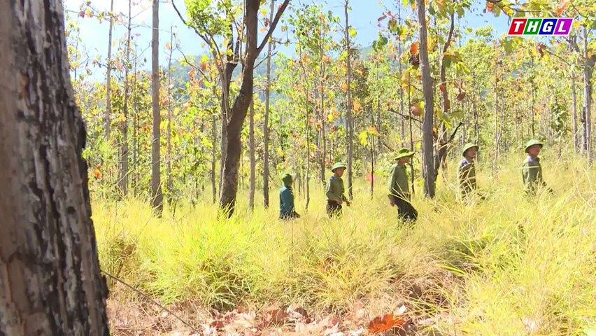 34 đơn vị chủ rừng đã xây dựng phương án quản lý rừng bền vững