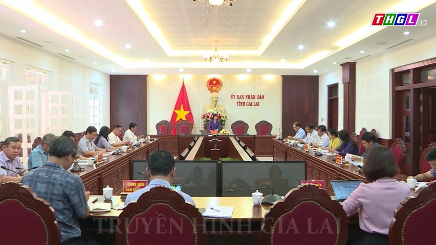 Ban chỉ đạo Đổi mới Giáo dục và Đào tạo tỉnh Gia Lai họp triển khai năm học mới 2023 – 2024