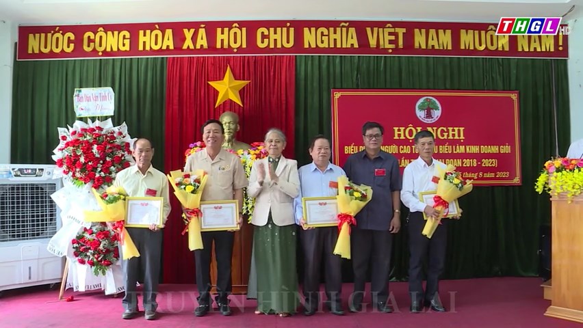 Biểu dương 61 người cao tuổi tiêu biểu làm kinh tế giỏi