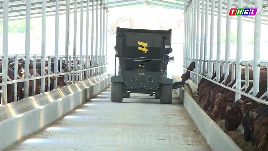 Đẩy mạnh kết nối đầu tư phát triển vùng nguyên liệu thức ăn chăn nuôi vào Tây Nguyên