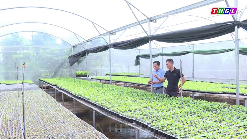 Gia Lai hiện có 32 hợp tác xã nông nghiệp ứng dụng công nghệ cao