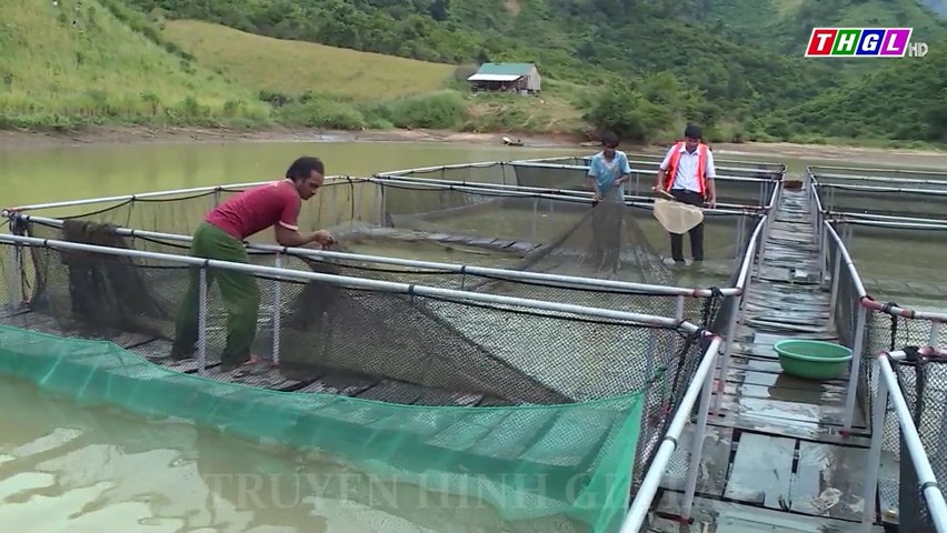 Giai đoạn 2021-2023, tốc độ tăng giá trị sản xuất ngành Nông, lâm nghiệp và thủy sản đạt 3,97%