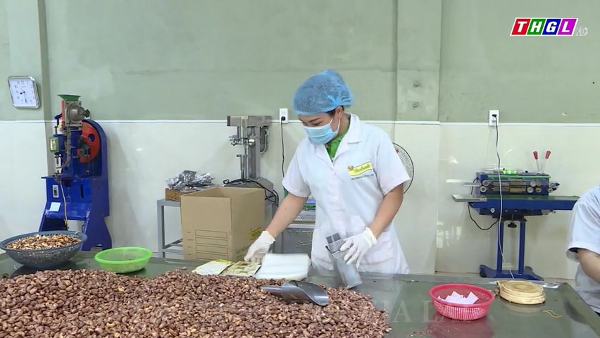 Giai đoạn 2021-2025, nông sản và nông sản chế biến là nhóm hàng xuất khẩu chủ lực của Gia Lai