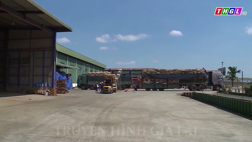 Hoạt động xuất – nhập khẩu của tỉnh Gia Lai có mức tăng trưởng khá