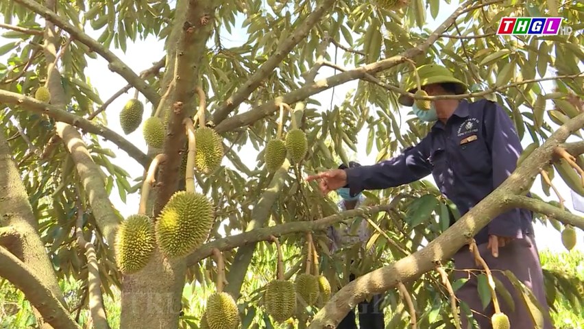Huyện Ia Grai quan tâm phát triển mô hình kinh tế tập thể