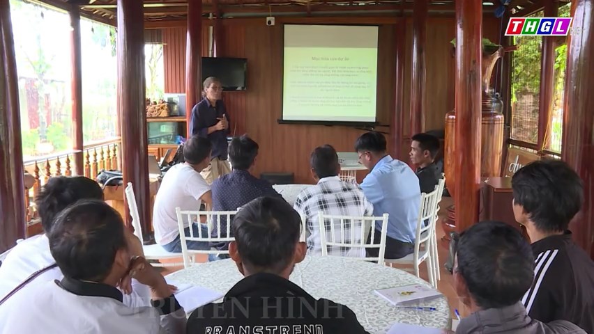 Tập huấn, bồi dưỡng chuyên môn, nghiệp vụ, truyền dạy văn hóa phi vật thể