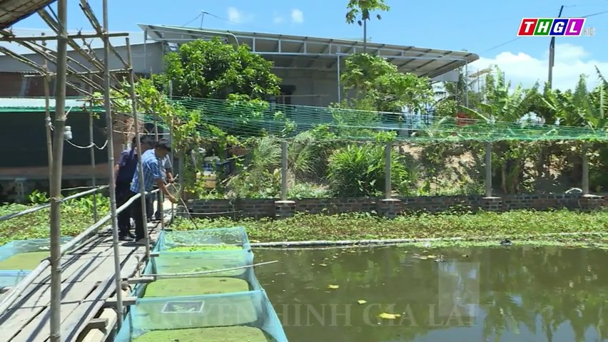 Phát huy nguồn Quỹ Hỗ trợ nông dân