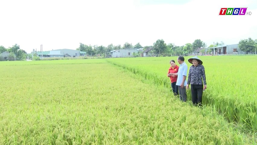 Phú Thiện chuyển đổi cơ cấu cây trồng hơn 4.100 ha