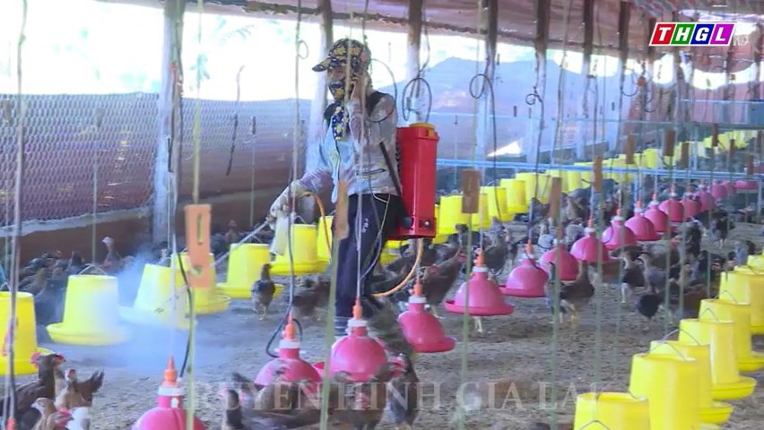 Tăng cường các biện pháp hạn chế sử dụng kháng sinh trong chăn nuôi