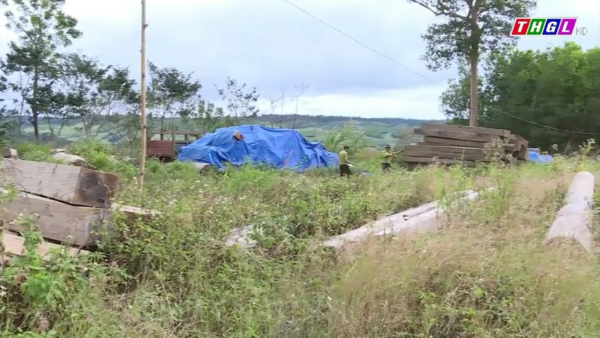 Từ cuối năm 2020 đến nay, Gia Lai phát hiện hơn 900 vụ vi phạm về lâm nghiệp