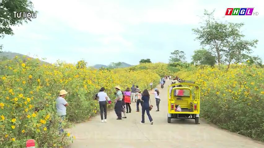 Chư Păh sẽ tổ chức Tuần lễ  Hoa Dã Quỳ-Núi lửa Chư Đang Ya vào tháng 11 năm 2023