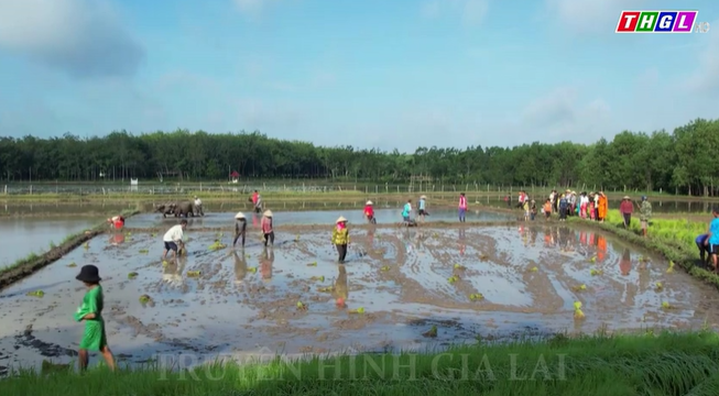 Lễ hội xuống đồng – Độc đáo nét văn hóa của đồng bào Khmer