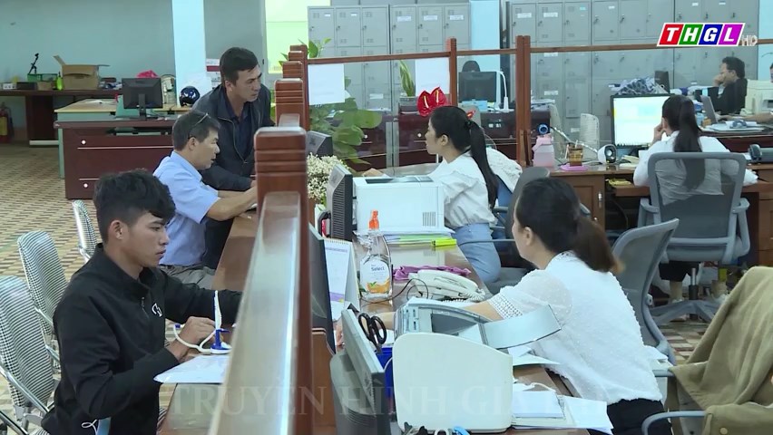 Trung tâm Dịch vụ việc làm tỉnh Gia Lai kết nối thành công việc làm cho 72 lao động đăng ký tìm việc