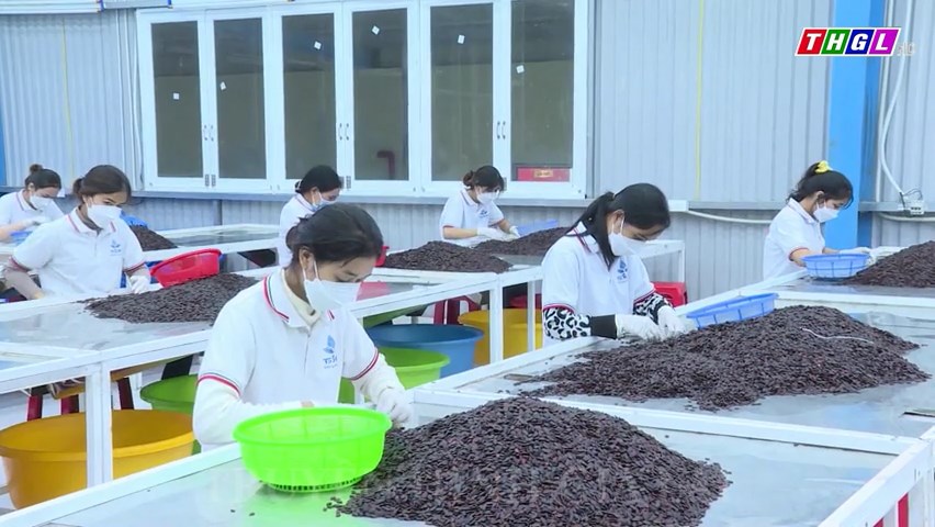 Xu hướng tuyển dụng nhân lực không yêu cầu có kinh nghiệm làm việc