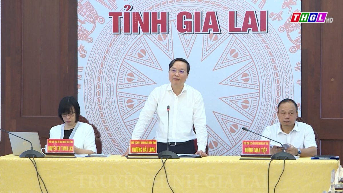 Đồng chí Trương Hải Long – Phó Bí thư Tỉnh ủy, Chủ tịch UBND tỉnh, Trưởng Ban Chỉ đạo các Chương trình MTQG tỉnh: “Quyết liệt triển khai, tháo gỡ kịp thời khó khăn, vướng mắc để triển khai thực hiện tốt các Chương trình MTQG trên địa bàn tỉnh Gia Lai”