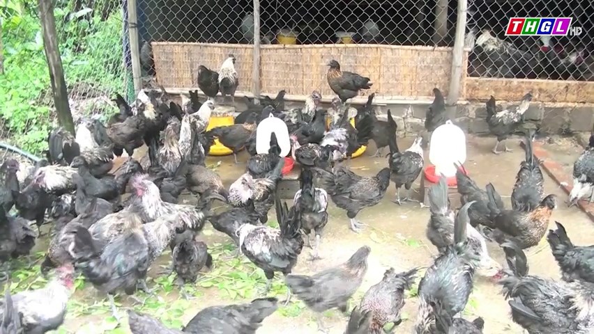 Hội thảo nghiệm thu Dự án chăn nuôi gà H’Mông thương phẩm tại xã H Bông