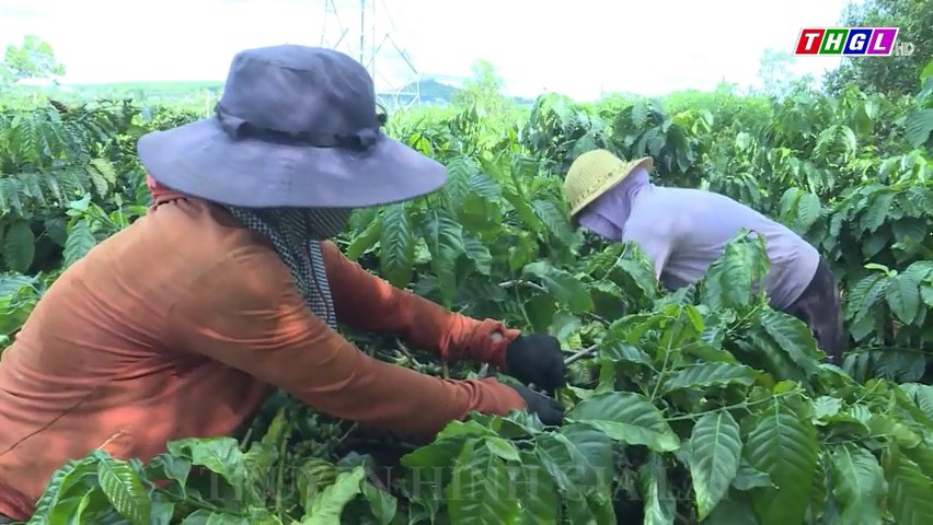 Hơn 350 hội viên, phụ nữ được giới thiệu việc làm tại các cơ sở sản xuất, kinh doanh trên địa bàn tỉnh