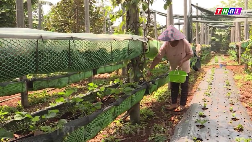 Tích cực thay đổi nếp nghĩ, cách làm trong đồng bào dân tộc thiểu số