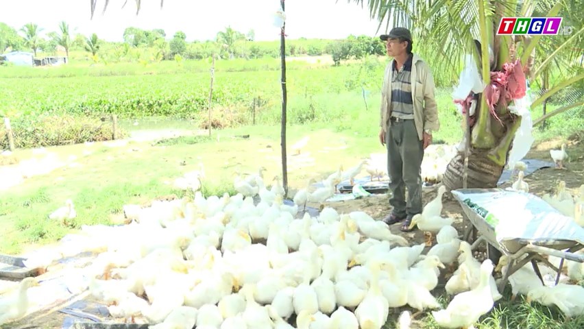 Phường An Phước, thị xã An Khê đa dạng các mô hình phát triển kinh tế để giảm nghèo