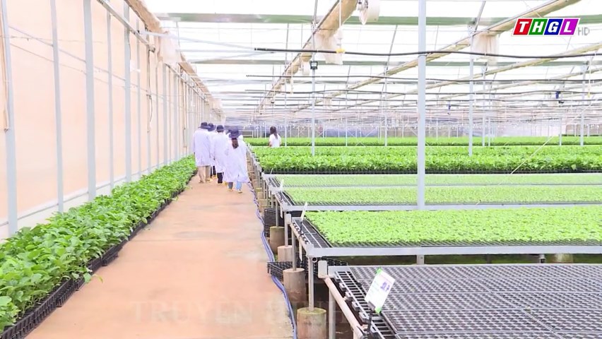 Chư Pưh được cấp 7 mã số vùng trồng đối với chanh dây và sầu riêng