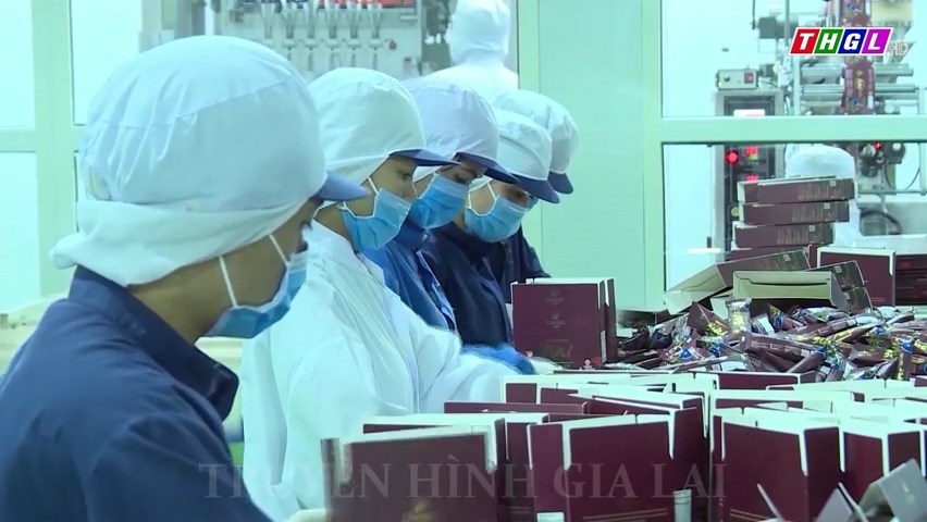 Gia Lai thành lập mới 625 doanh nghiệp